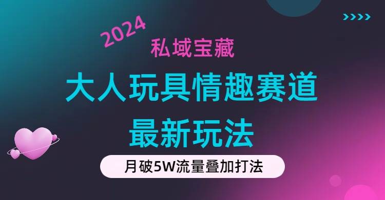 私域宝藏：大人玩具情趣赛道合规新玩法，零投入，私域超高流量成单率高-云阁资源网