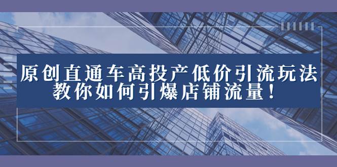 2023直通车高投产低价引流玩法，教你如何引爆店铺流量！-云阁资源网