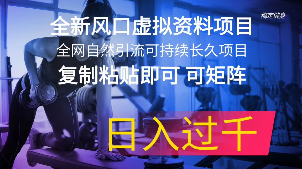 全新风口虚拟资料项目 全网自然引流可持续长久项目 复制粘贴即可可矩阵…-云阁资源网