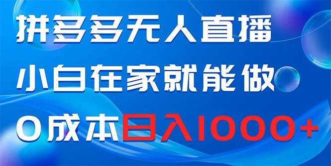 拼多多无人直播，小白在家就能做，0成本日入1000+-云阁资源网