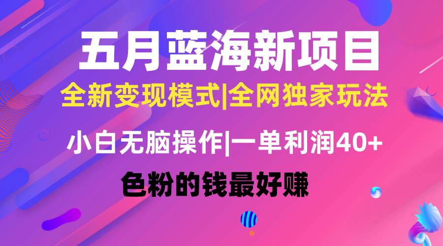 五月蓝海项目全新玩法，小白无脑操作，一天几分钟，矩阵操作，月入4万+-云阁资源网