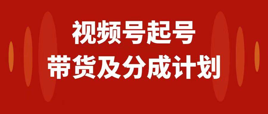 视频号快速起号，分成计划及带货，0-1起盘、运营、变现玩法，日入1000+-云阁资源网