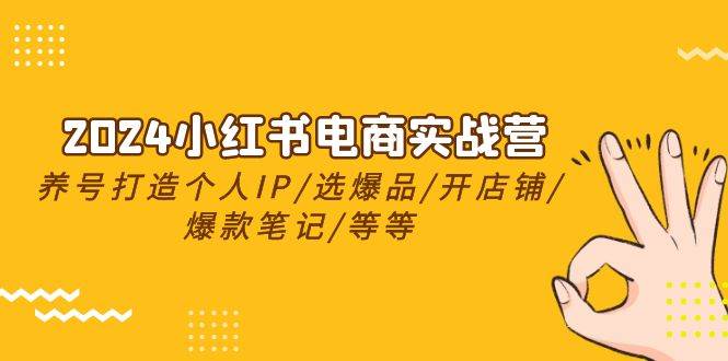 2024小红书电商实战营，养号打造IP/选爆品/开店铺/爆款笔记/等等（24节）-云阁资源网