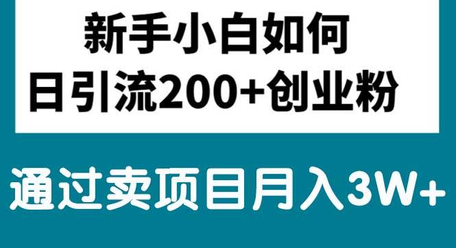 新手小白日引流200+创业粉,通过卖项目月入3W+-云阁资源网
