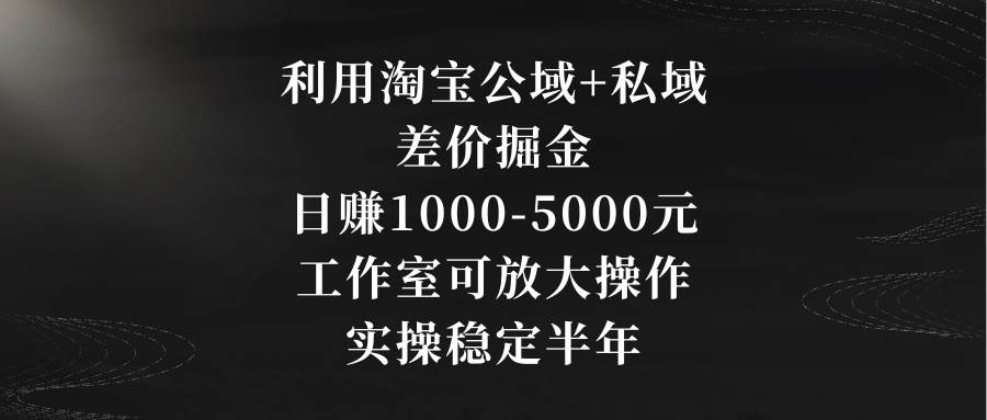 利用淘宝公域+私域差价掘金，日赚1000-5000元，工作室可放大操作，实操…-云阁资源网
