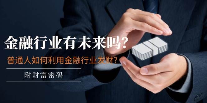 某付费文章：金融行业有未来吗？普通人如何利用金融行业发财?(附财富密码)-云阁资源网