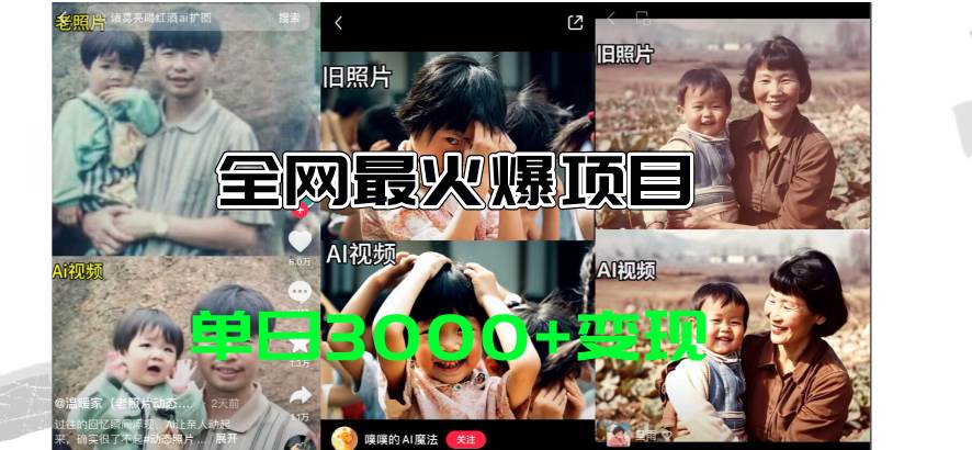 全网爆火的AI让老照片动起来教程，蹭热点日赚3000+，内含免费工具一键…-云阁资源网