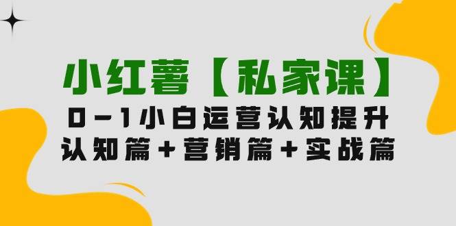 小红薯【私家课】0-1玩赚小红书内容营销，认知篇+营销篇+实战篇（11节课）-云阁资源网