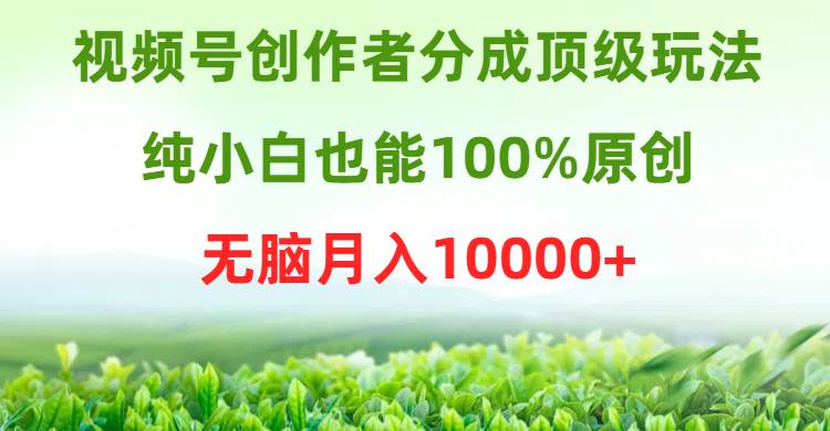 视频号创作者分成顶级玩法，纯小白也能100%原创，无脑月入10000+-云阁资源网