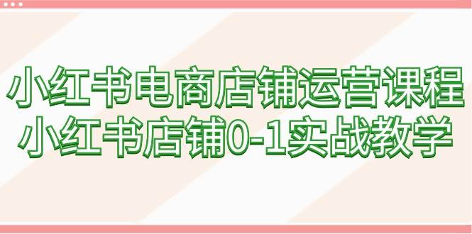 小红书电商店铺运营课程，小红书店铺0-1实战教学（60节课）-云阁资源网
