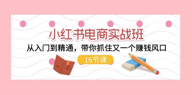 小红书电商实战班，从入门到精通，带你抓住又一个赚钱风口（16节）-云阁资源网