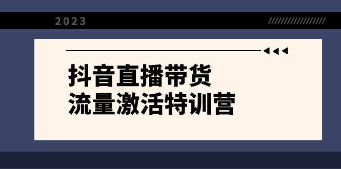 抖音直播带货-流量激活特训营，入行新手小白主播必学（21节课+资料）-云阁资源网