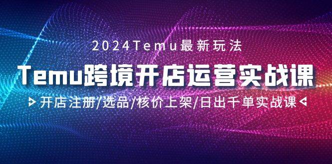 2024Temu跨境开店运营实战课，开店注册/选品/核价上架/日出千单实战课-云阁资源网