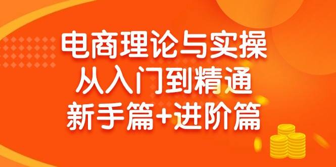 电商理论与实操从入门到精通 新手篇+进阶篇-云阁资源网