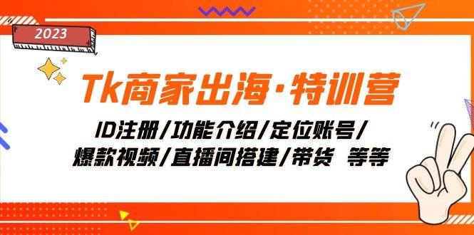 Tk商家出海·特训营：ID注册/功能介绍/定位账号/爆款视频/直播间搭建/带货-云阁资源网