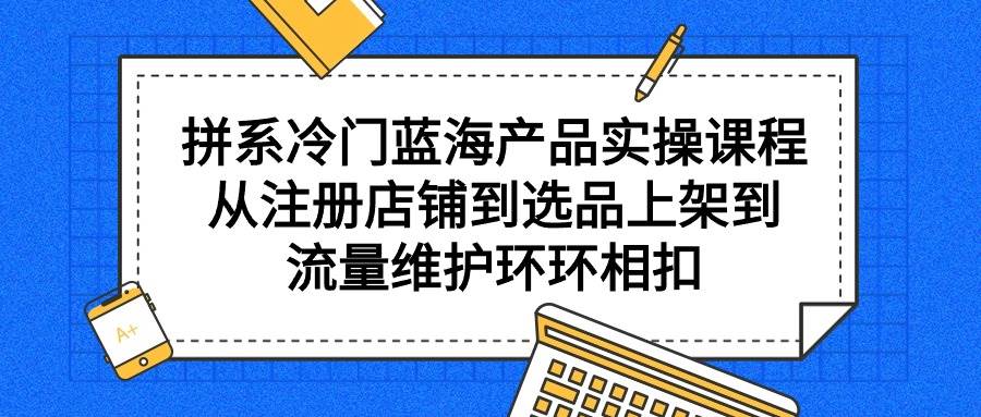 拼系冷门蓝海产品实操课程，从注册店铺到选品上架到流量维护环环相扣-云阁资源网