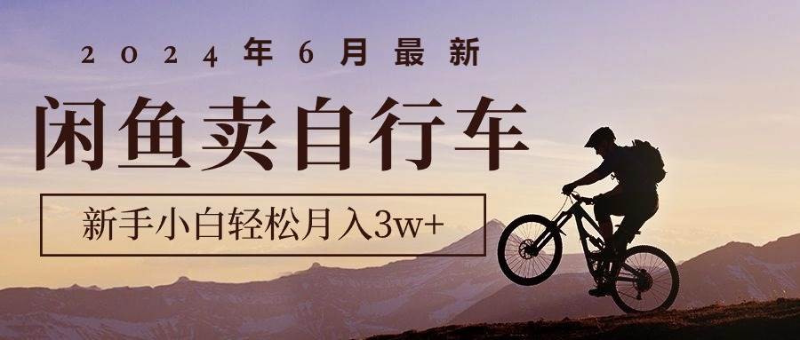 2024年6月最新闲鱼卖自行车，新手小白轻松月入3w+项目-云阁资源网