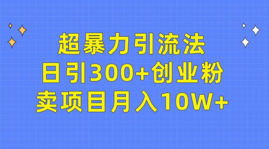 超暴力引流法，日引300+创业粉，卖项目月入10W+-云阁资源网