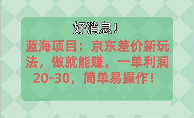 越早知道越能赚到钱的蓝海项目：京东大平台操作，一单利润20-30，简单…-云阁资源网