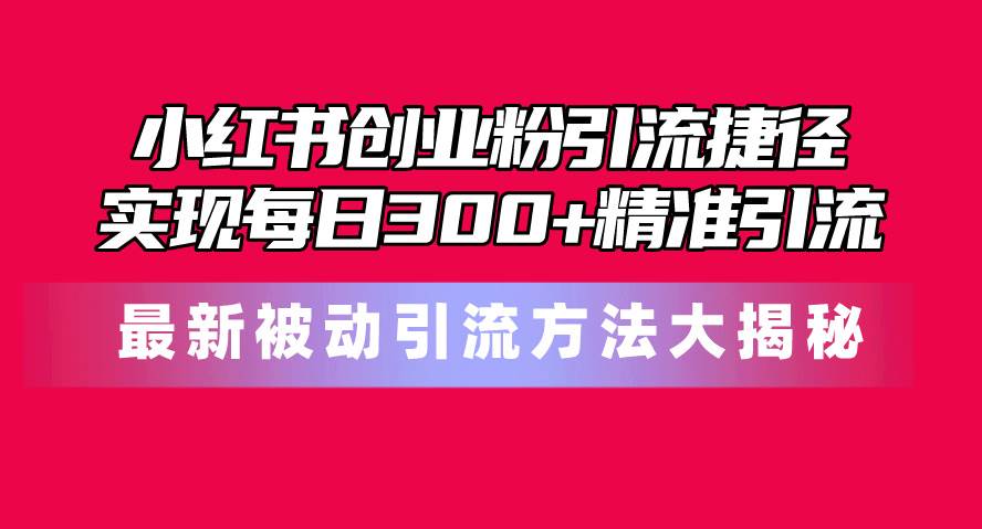 小红书创业粉引流捷径！最新被动引流方法大揭秘，实现每日300+精准引流-云阁资源网