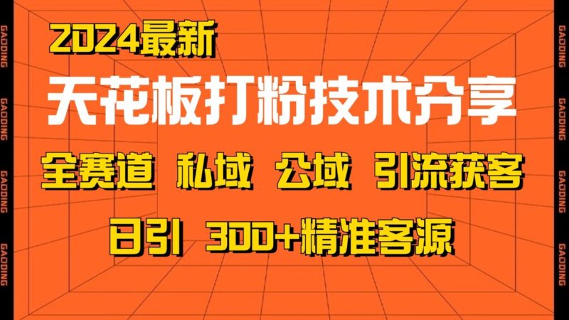 天花板打粉技术分享,野路子玩法 曝光玩法免费矩阵自热技术日引2000+精准客户-云阁资源网