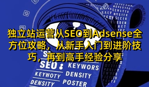 独立站运营从SEO到Adsense全方位攻略，从新手入门到进阶技巧，再到高手经验分享-云阁资源网
