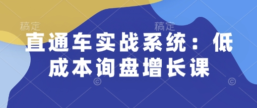 直通车实战系统：低成本询盘增长课，让个人通过技能实现升职加薪，让企业低成本获客，订单源源不断-云阁资源网