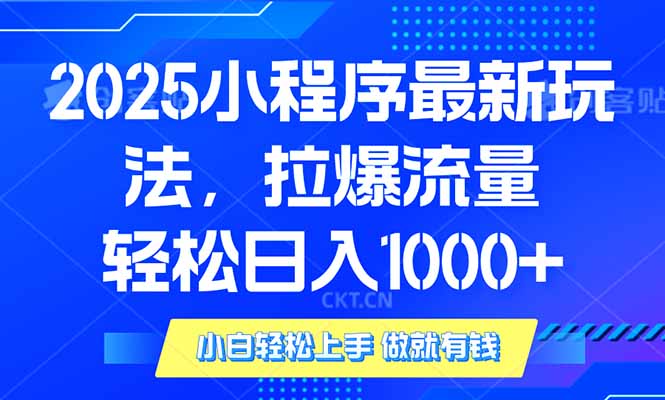 2025年小程序最新玩法，流量直接拉爆，单日稳定变现1000+-云阁资源网