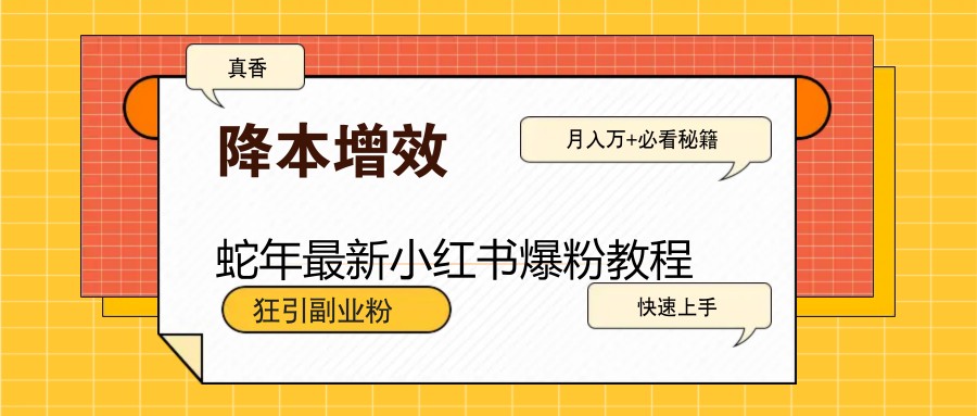 蛇年最新小红书爆粉教程，狂引副业粉，月入万+必看-云阁资源网