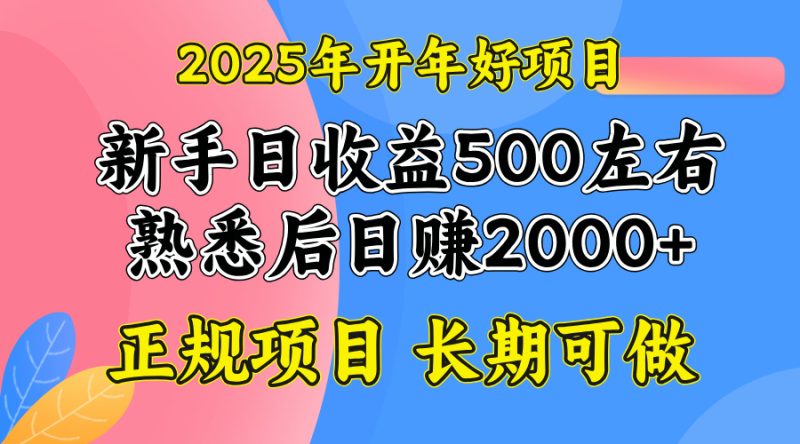 2025开年好项目,单号日收益2000左右-云阁资源网