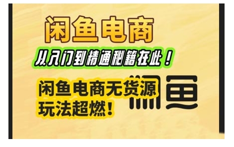 闲鱼电商实战课，从入门到精通秘籍在此，闲鱼电商无货源玩法超燃!-云阁资源网