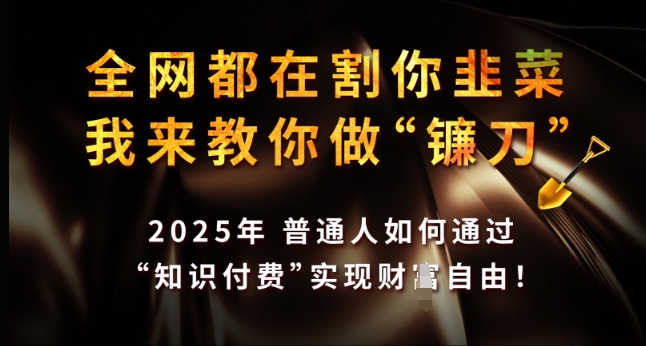 全网都在割你韭菜，我来教你做镰刀，2025年普通人如何通过 知识付费 实现财F自由【揭秘】-云阁资源网