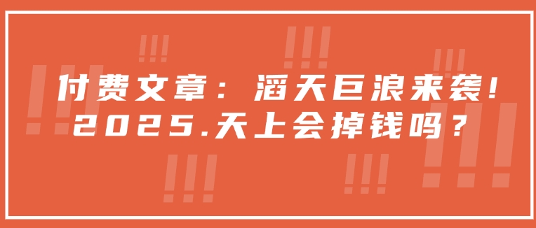 付费文章：滔天巨浪来袭！2025天上会掉钱吗？-云阁资源网