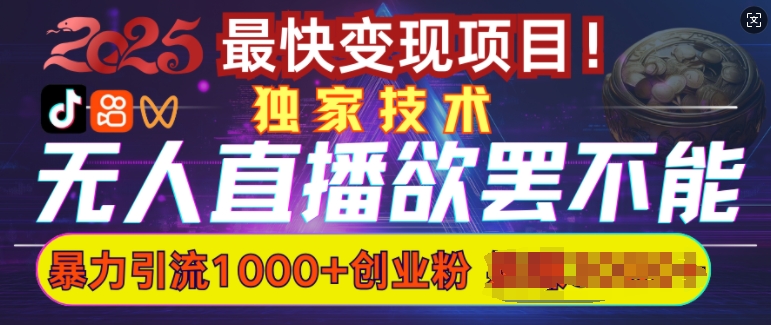 欲罢不能的无人直播引流，超暴力日引流1000+高质量精准创业粉-云阁资源网
