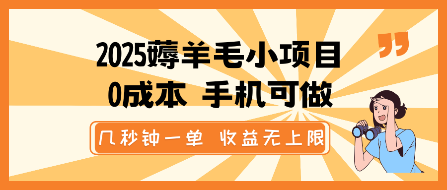 2025薅羊毛小项目，0成本 手机可做，几秒钟一单，收益无上限-云阁资源网