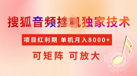 全网首发搜狐音频挂JI独家技术，项目红利期，可矩阵可放大，稳定月入8k【揭秘】-云阁资源网