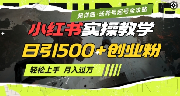 2月小红书最新日引500+创业粉实操教学【超详细】小白轻松上手，月入1W+，附小红书养号起号SOP-云阁资源网