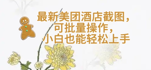 【轻云】最新美团酒店截图，可批量操作，小白也能轻松上手-云阁资源网