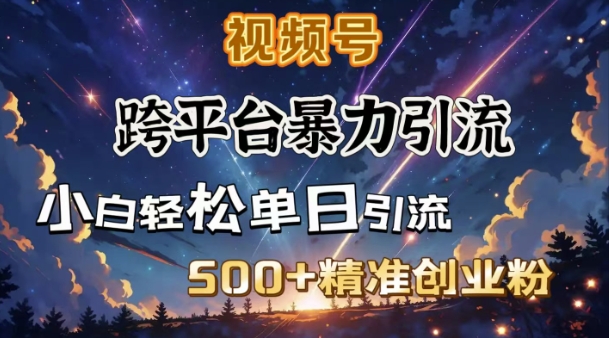 跨平台暴力引流，私域完美闭环，日引500+精准创业粉-云阁资源网