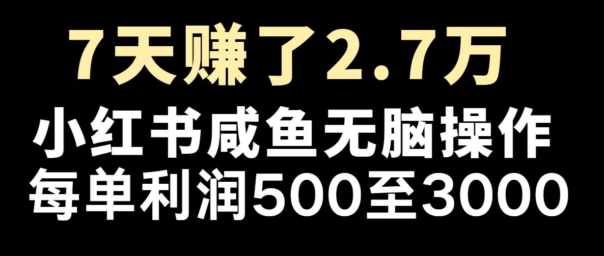 最赚钱项目之一，2025爆火，逆风翻盘！-云阁资源网