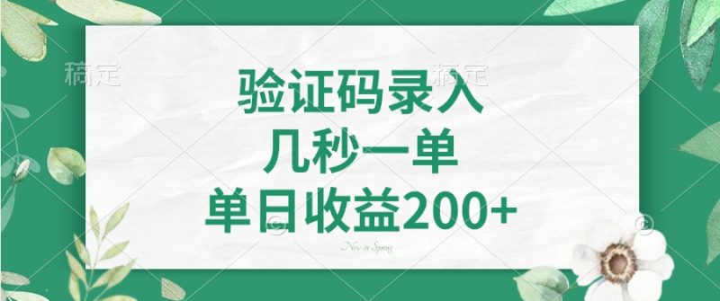 验证码录入，几秒一单，单日收益200+-云阁资源网