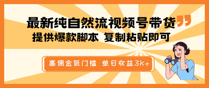 最新纯自然流视频号带货，提供爆款脚本简单 复制粘贴即可，高佣金低门槛，单日收益3K+-云阁资源网