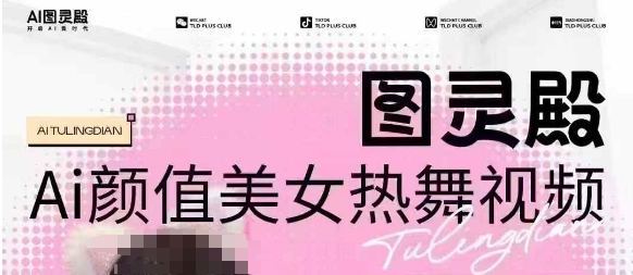 全网首发，原价988图灵殿AI颜值美女热舞视频，云端生图，轻松过原创-云阁资源网