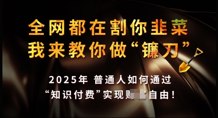 知识付费如何做到月入过W+，2025我来教你做“镰刀”【揭秘】-云阁资源网