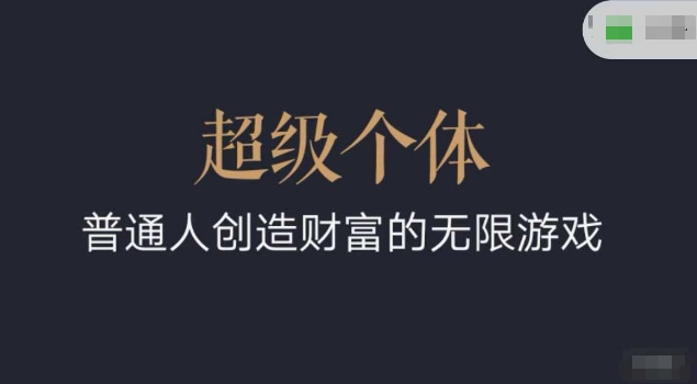 超级个体2024-2025翻盘指南，普通人创造财富的无限游戏-云阁资源网