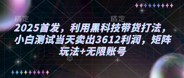 2025首发，利用黑科技带货打法，小白测试当天卖出3612利润，矩阵玩法+无限账号【揭秘】-云阁资源网