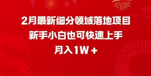 2月最新细分领域落地项目，新手小白也可快速上手，月入1W-云阁资源网