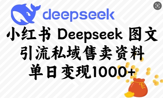 小红书Deepseek图文引流私域售卖资料，单日变现多张-云阁资源网