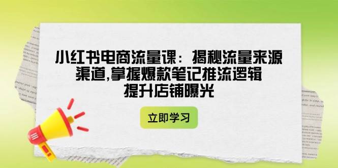 小红书电商流量课：揭秘流量来源渠道,掌握爆款笔记推流逻辑,提升店铺曝光-云阁资源网