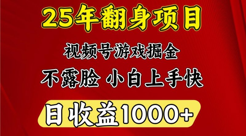 一天收益1000+ 25年开年落地好项目-云阁资源网